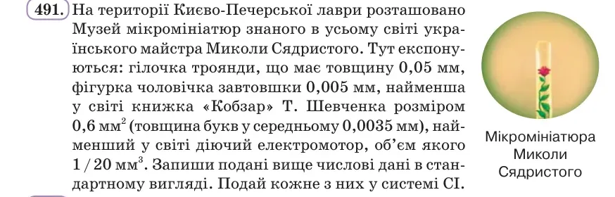 Умова: вправа 491: Запиши подані числові дані (мікромініатюри М