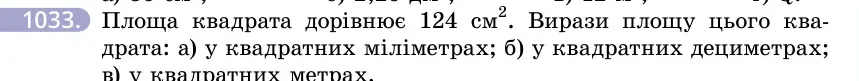 Умова: вправа 1033: Площа квадрата дорівнює 124 см²