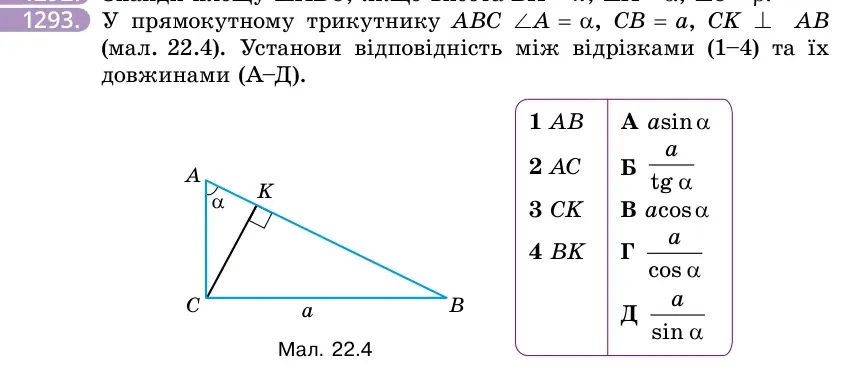 Умова: вправа 1293: У прямокутному трикутнику ABC ∠A = α, CB = a, CK ⊥ AB (мал