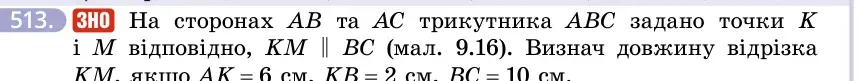 Умова: вправа 513: ЗНО