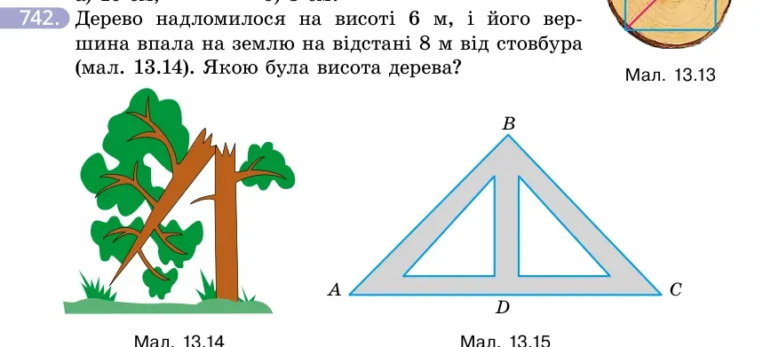 Умова: вправа 742: Дерево надломилося на висоті 6 м, і його вершина впала на землю на відстані 8 м від стовбура (мал