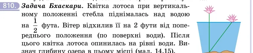 Умова: вправа 810: Задача Бхаскари
