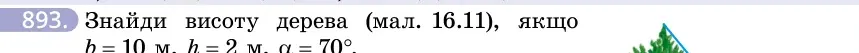 Умова: вправа 893: Знайди висоту дерева (мал