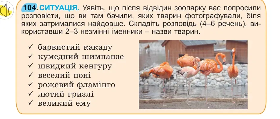 Умова: вправа 104: 104