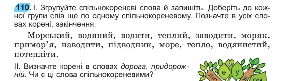 Умова: вправа 110: 110