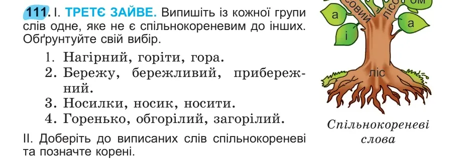 Умова: вправа 111: о с в 111