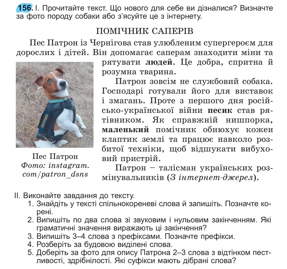 Умова: вправа 156: 156
