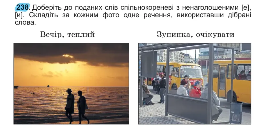 Умова: вправа 238: 238