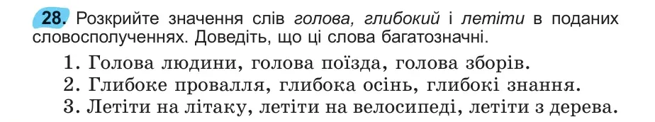 Умова: вправа 28: 28