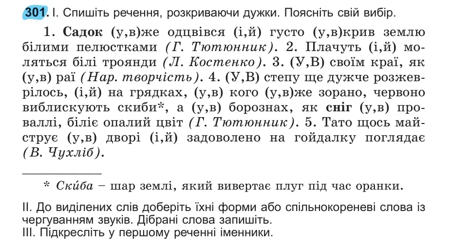 Умова: вправа 301: 301