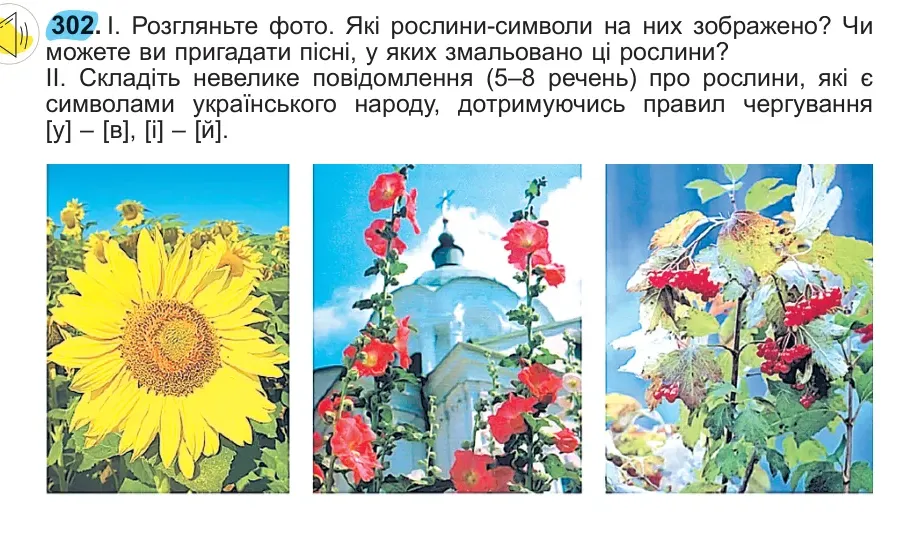 Умова: вправа 302: 302