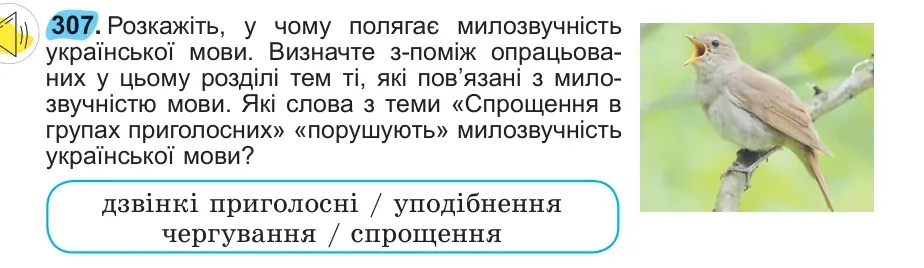 Умова: вправа 307: 307