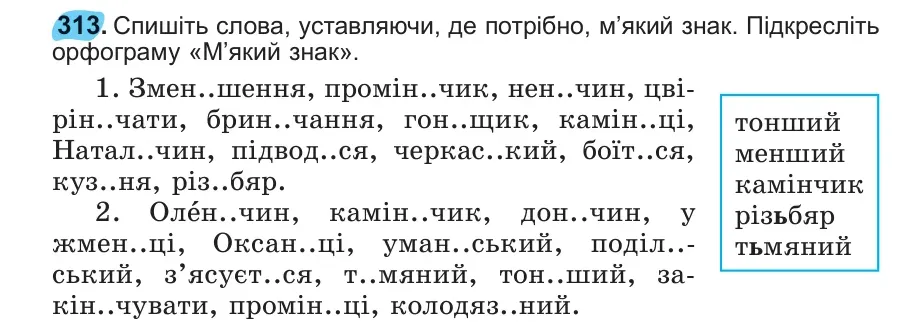 Умова: вправа 313: 313