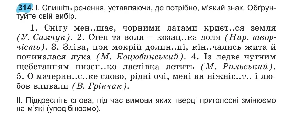 Умова: вправа 314: 314