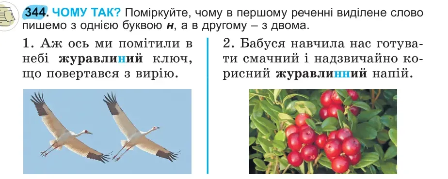 Умова: вправа 344: 344