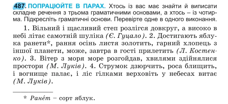 Умова: вправа 487: 487