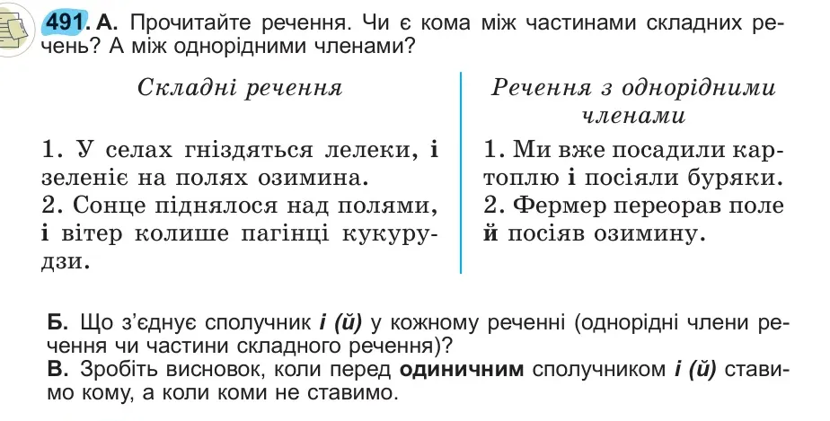 Умова: вправа 491: 491
