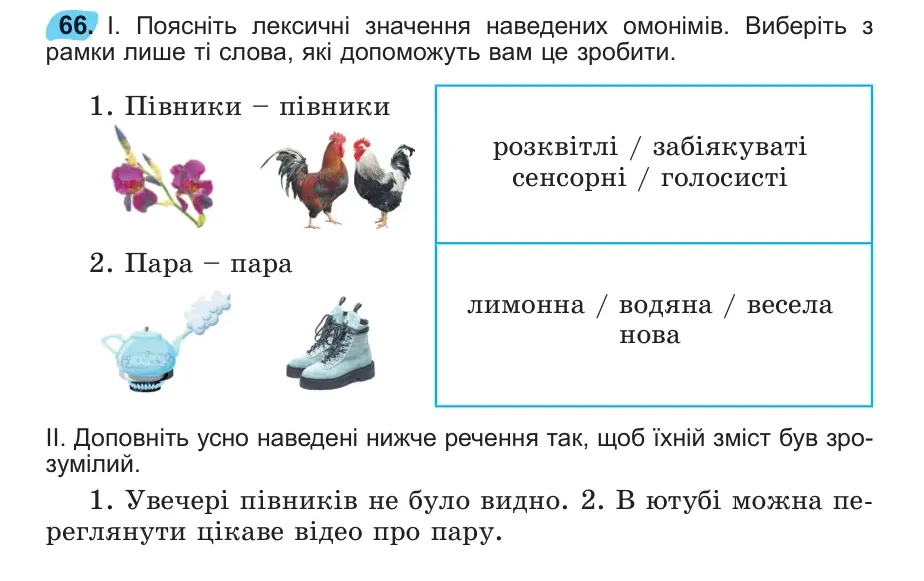 Умова: вправа 66: 66