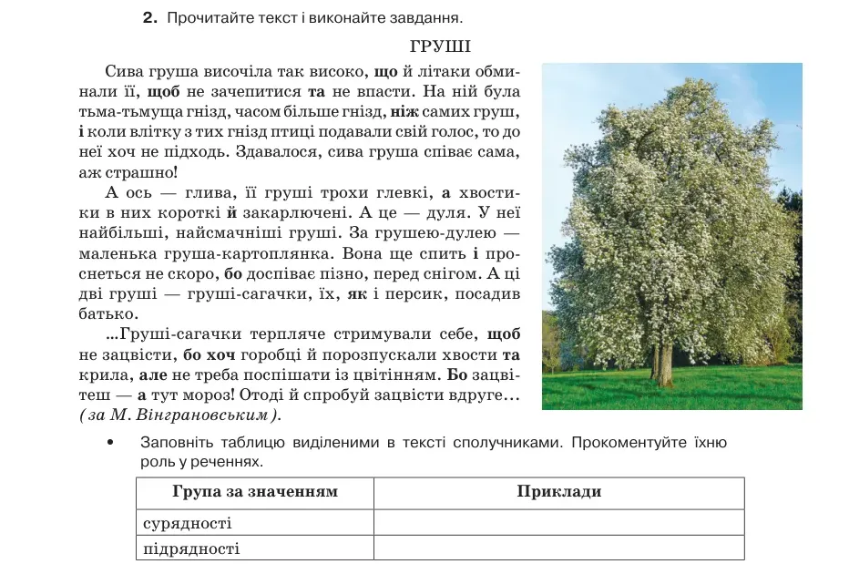 Умова: вправа 8.2: Прочитайте текст і виконайте завдання