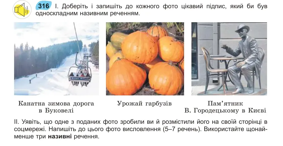 Умова: вправа 316: Доберіть і запишіть до кожного фото цікавий підпис, який би був 316 односкладним називним реченням