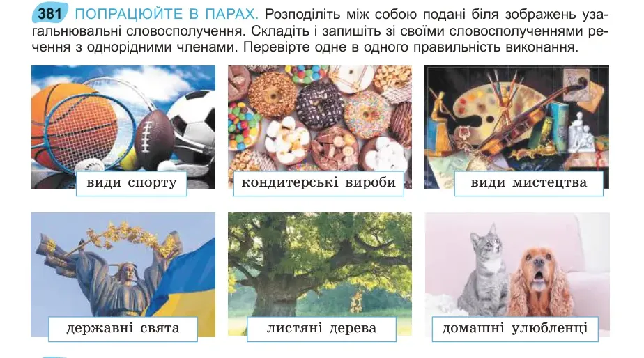 Умова: вправа 381: ПОПРАЦЮЙТЕ В ПАРАХ